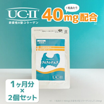 【ふるさと納税】【富山・渡邊薬品】非変性II型コラーゲンサプリ「きときとげんき」2ケ月分 膝も腰もきときと元気に!【1712557】|富山県