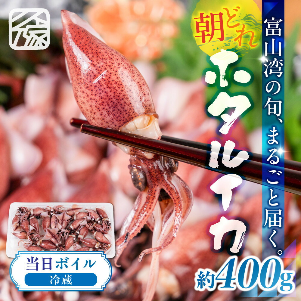 【ふるさと納税】【先行予約】＜2027年3月以降順次発送予定＞朝獲れ 富山湾の旬 ボイルほたるいか 400g 冷蔵｜富山県富山市