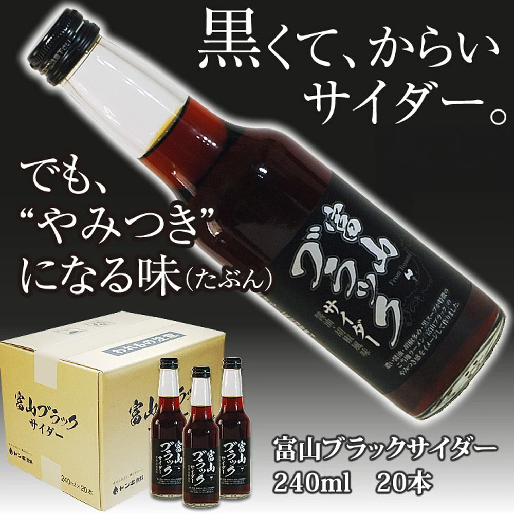 【ふるさと納税】ブラックサイダー 1ケース２0本 | 飲料 炭酸飲料 黒 サイダー 炭酸 地域特産品 地元産限定 ローカル味 伝統製法 特色飲料 特色品 富山名物 産地直送 特産飲料 富山特産 大人向け 子供向け｜富山県富山市