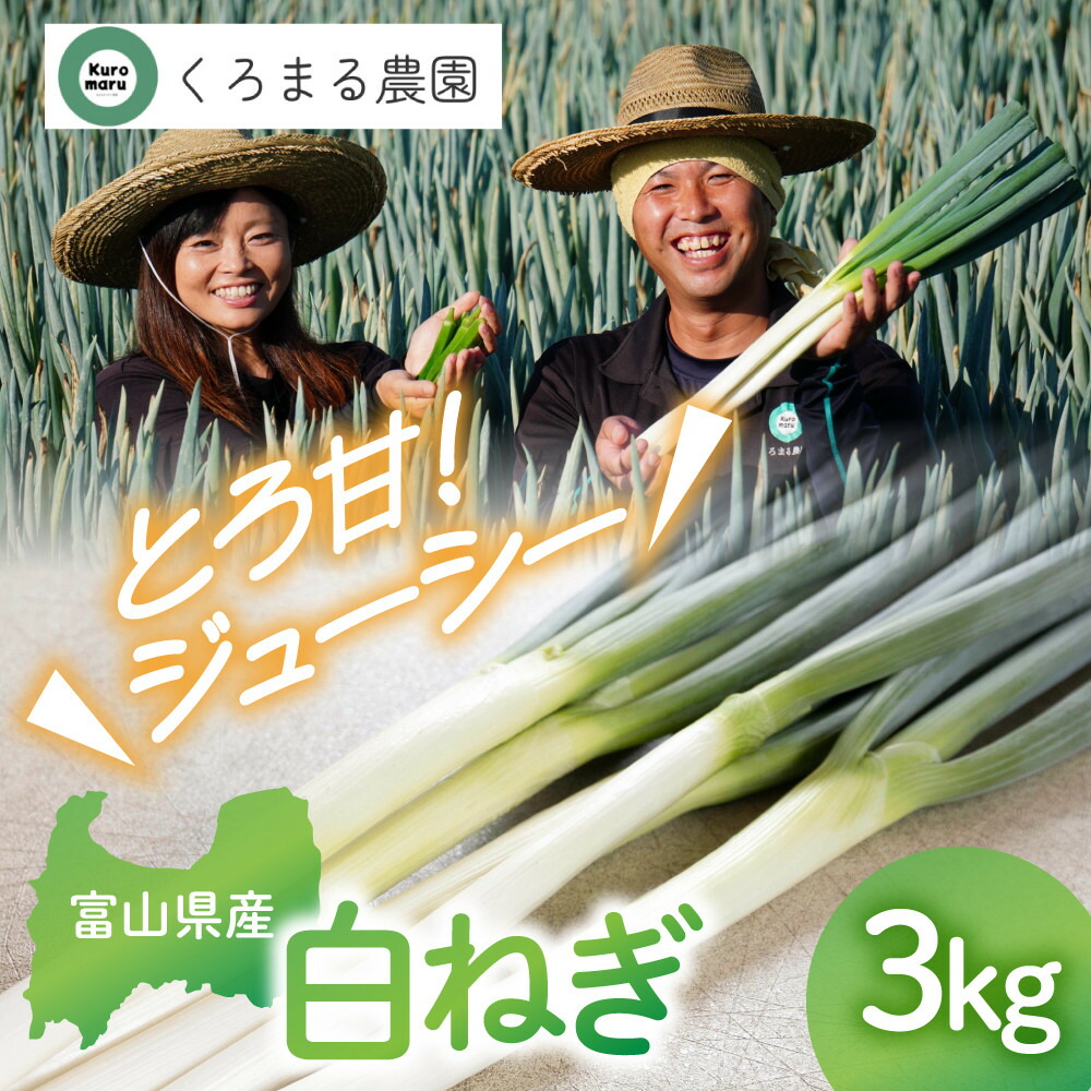 【ふるさと納税】＜先行予約＞ くろまる農園　富山の白ネギ（泥付き）3キロ | 富山市 野菜 白ネギ ネギ くろまる農園 おいしい 人気 おすすめ 送料無料