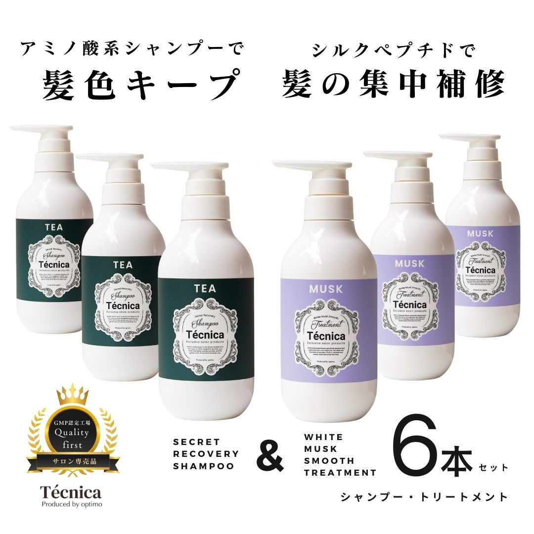 【ふるさと納税】【サロン専売品】テクニカ ヘアケアセット（シークレットリカバリーシャンプー 390ml&times;3＆ホワイトムスクスムーストリートメント 400ml&times;3） | 髪質改善 黒髪 白髪 保湿 弱酸性 改善 頭皮 うねり かゆみ 湿疹 フケ ふけ くせ毛 乾燥 低刺激｜富山県富山市