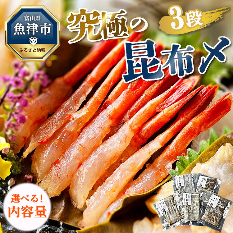 【ふるさと納税】\選べる内容量/ 究極の昆布〆 3段 3~5種盛(急速冷凍品)|昆布〆 刺身 刺し身 盛り合わせ 刺身盛り合わせ 詰め合わせ 北陸 富山 海鮮 国産 高級 ばい貝 アオリイカ ひらめ 車鯛 甘エビ 甘えび 甘海老 魚介 魚介類 魚 肴※北海道・沖縄・離島への配送不可