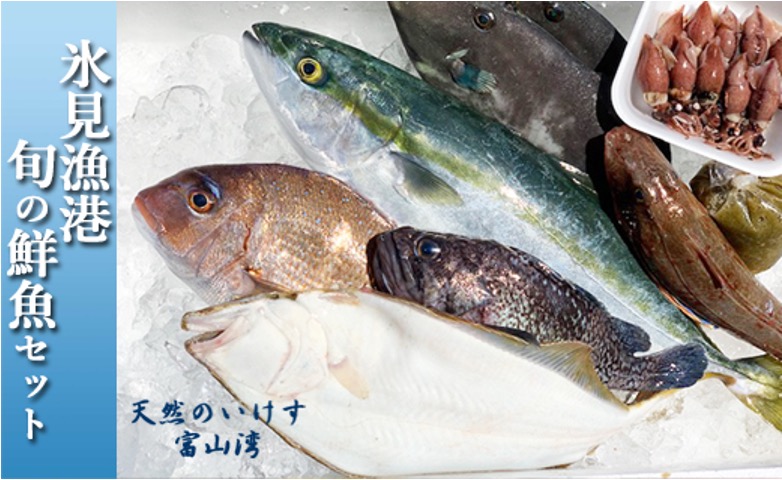 【ふるさと納税】天然のいけす 富山湾 氷見漁港 旬の鮮魚セット〈配送地域限定〉