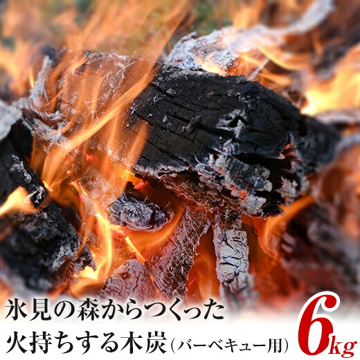 【ふるさと納税】氷見の森からつくった火持ちする木炭(バーベキュー用)6kg | 燃料 環境にやさしい 防災 災害 防災グッズ エコ 災害備蓄 BBQ バーベキュー 七輪 火もち 国産炭 クヌギ 里山 アウトドア|富山県氷見市
