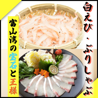 【ふるさと納税】  鮮度そのまま！『ぶり、白えび』生冷凍セット【寒ぶり】  富山県 氷見市 ブリ 白エビ 冷凍 凍眠凍結 魚 加工品 セット