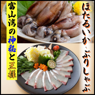 【ふるさと納税】 鮮度そのまま！『ぶり、ほたるいか』生冷凍セット【寒ぶり】 富山県 氷見市 ブリ ホタルイカ 冷凍 凍眠凍結 魚 加工品 セット