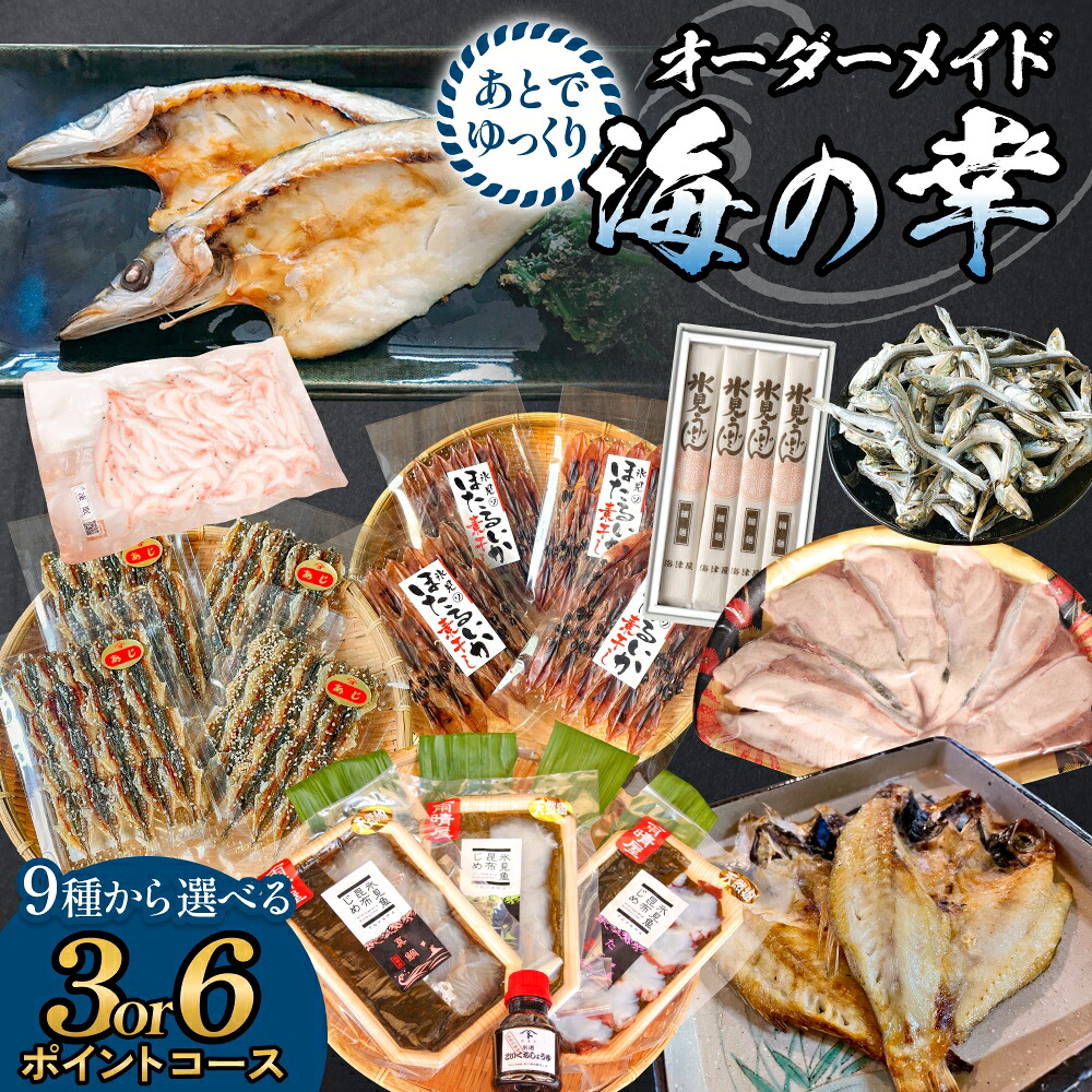 【ふるさと納税】あとでゆっくりオーダーメイド海の幸【3ポイントコース】または【6ポイントコース】（のどぐろ・白えび・氷見産ぶり・ほたるいか等から選べる） 富山県 氷見市 干物 ぶりしゃぶ 昆布締め 氷見うどん｜富山県氷見市
