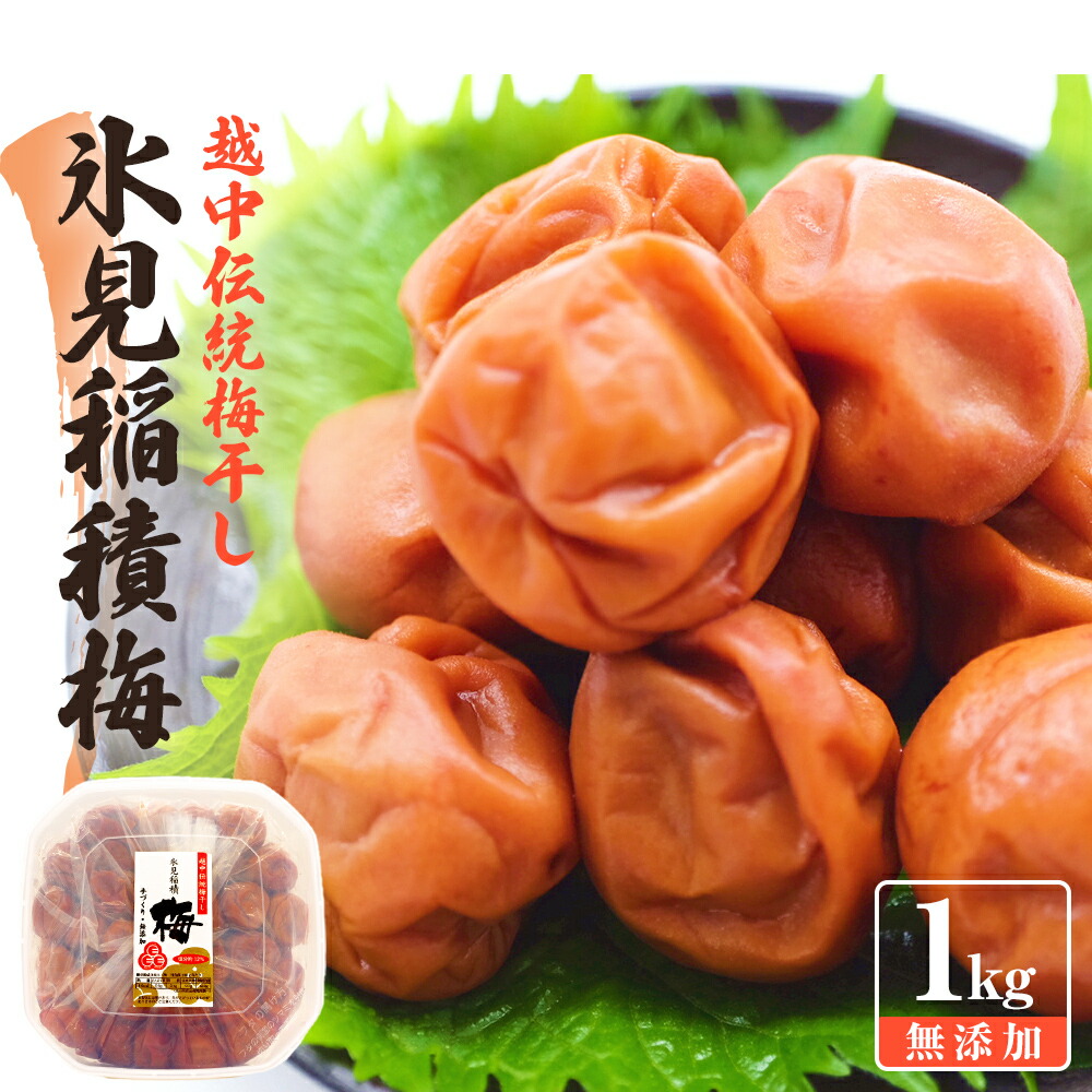 【ふるさと納税】越中伝統梅干し 氷見稲積梅 1kg （塩分約12%）｜富山県固有種 稲積梅 添加物不使用 手作り