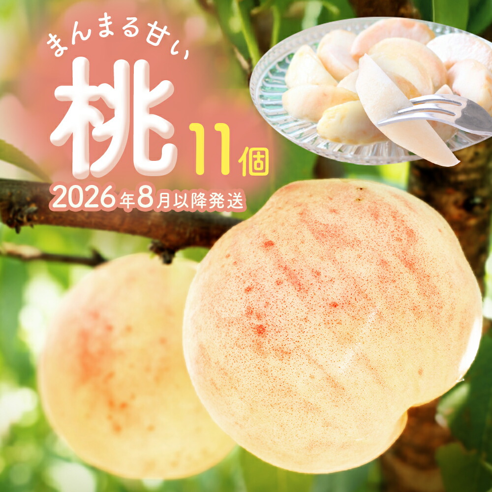 【ふるさと納税】<先行受付>富山県産 桃 11個 <2026年8月以降順次発送> もも 果物 産地直送 期間限定 富山県 氷見市|富山県氷見市