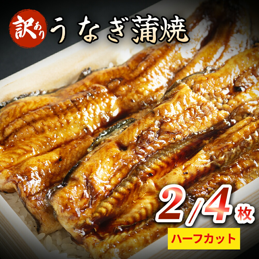 【ふるさと納税】【訳あり】うなぎ蒲焼(ハーフカット・2-4枚入り) | 不揃い 簡易包装 国産 炭火 冷凍|富山県氷見市
