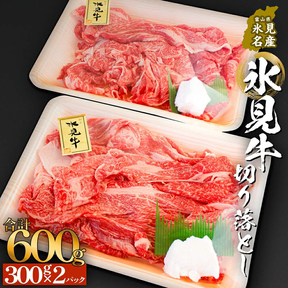 【ふるさと納税】氷見牛切り落とし 300g × 2パック 合計600g 小分け 黒毛和牛 牛肉 富山県 氷見市
