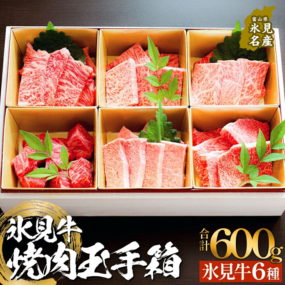 【ふるさと納税】氷見牛焼肉玉手箱 牛肉 焼肉 BBQ アウトドア ロース カルビ 富山県 氷見市