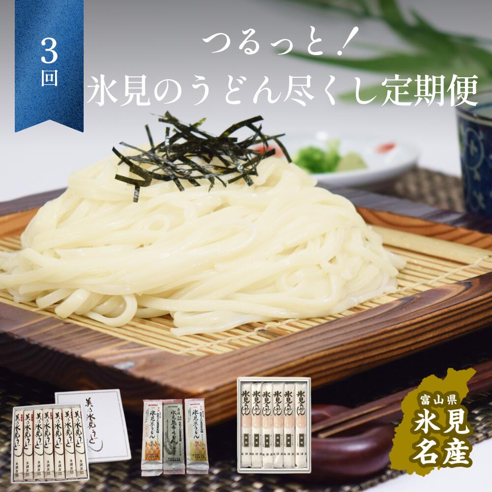 【ふるさと納税】〈3ヶ月定期便〉 つるっと！氷見のうどん尽くし！