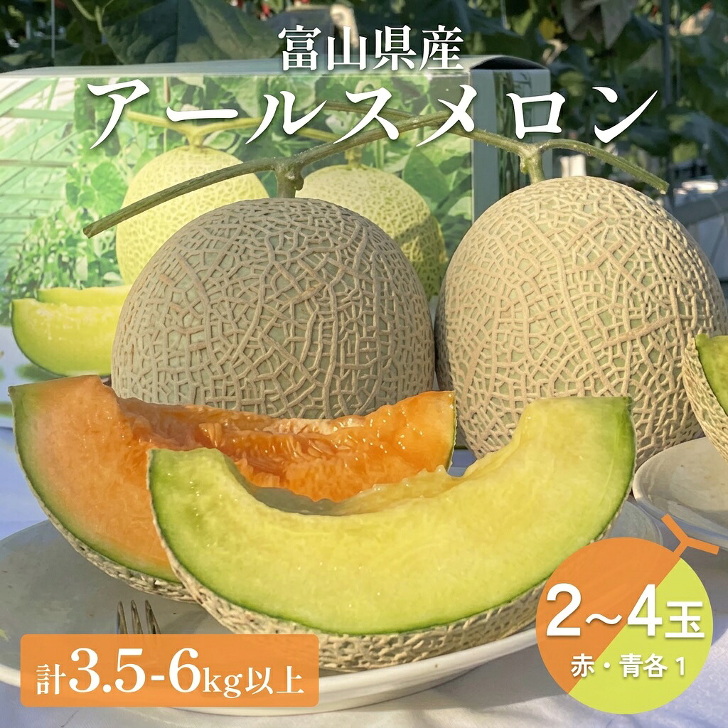 【ふるさと納税】〈先行予約〉 アールスメロン 2個 or 4個 セット(赤肉・青肉) 計3.5kg or 6kg 以上 <2026年6月下旬以降発送> 【贈答用】【秀品】|富山県氷見市