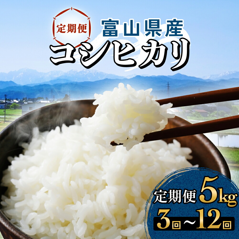 【ふるさと納税】 【3回 - 12回 定期便】富山県産 コシヒカリ 5kg｜富山県氷見市