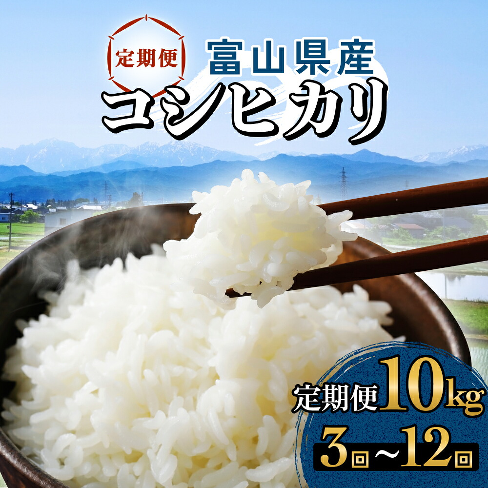 【ふるさと納税】 【3回 - 12回 定期便】富山県産 コシヒカリ 10kg 富山県 氷見市 米 コシヒカリ 定期便｜富山県氷見市