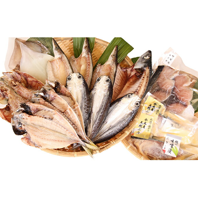 富山県氷見市 富山県氷見市 氷見 セット 詰め合わせ ふるさと納税 アジ 魚貝類 干物 鯖 サバ ふるさと納税 氷見 堀与 魚介類 水産加工品 地魚一夜干6種と汐ぶりとぶり味噌漬セット