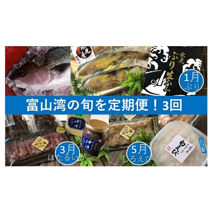 楽天市場 ふるさと納税 3回定期便 富山湾の旬を食す 氷見ぶり 白えび ほたるいか 1 3 5月発送 定期便 魚貝類 干物 加工食品 魚介類 ぶり 白えび ほたるいか 富山県氷見市