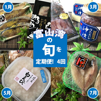 楽天市場 ふるさと納税 4回定期便 富山湾の旬を食す 氷見ぶり 白えび ほたるいか のどぐろ 1 3 5 7月発送 定期便 魚貝類 干物 加工食品 魚介類 ぶり 白えび ほたるいか のどぐろ 4回 富山県氷見市