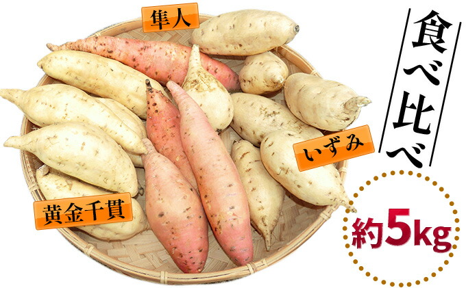 楽天市場 ふるさと納税 令和3年産 サツマイモ 黄金千貫 いずみ 隼人 約5kg 野菜 サツマイモ さつまいも お届け 21年11月上旬 22年2月日まで 富山県氷見市