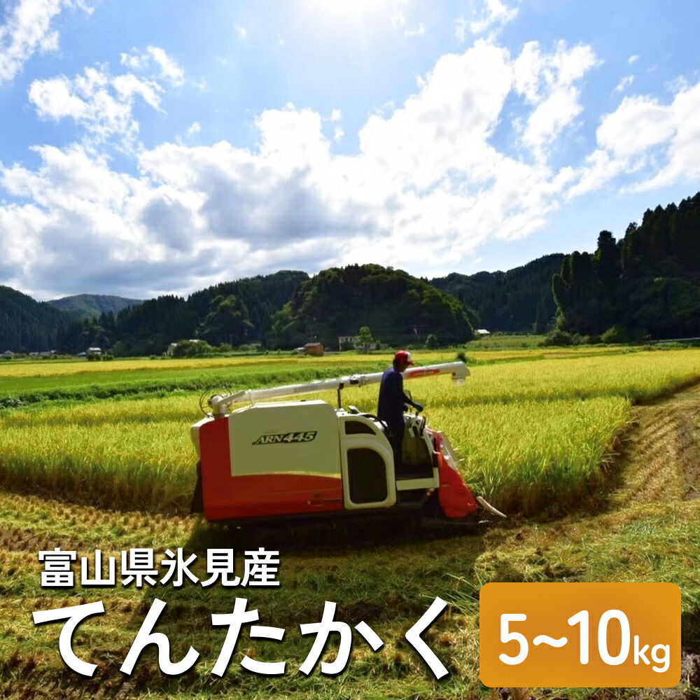 楽天市場】【ふるさと納税】＜先行予約＞ 令和7年産 富山県氷見