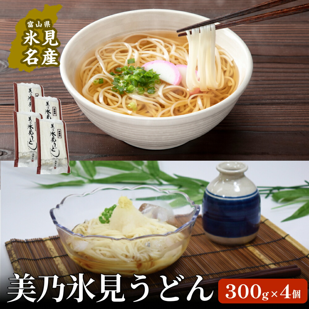 【ふるさと納税】訳あり 美乃氷見うどんお徳用4個入  | 細麺 手延べ