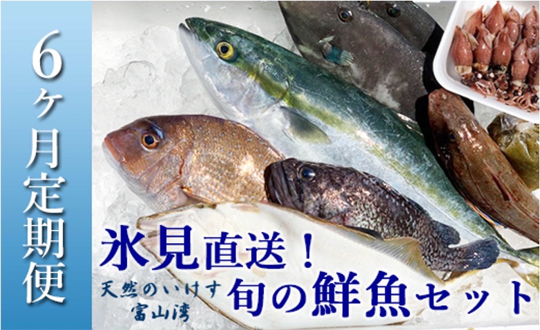 【ふるさと納税】〈6ヶ月定期便〉 天然のいけす 富山湾 氷見漁港直送！ 旬の鮮魚セット〈配送地域限定〉
