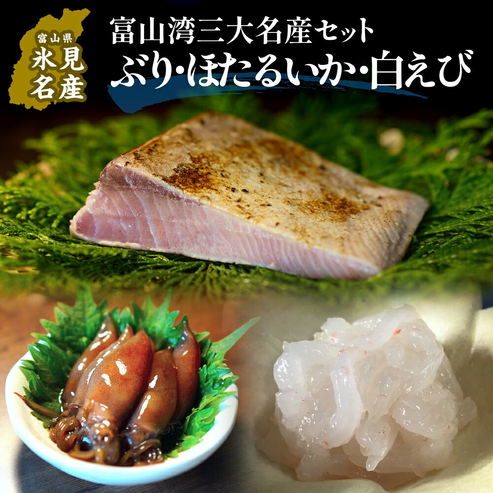 【ふるさと納税】富山湾三大名産ぶり・ほたるいか・白えびのセット 富山県 氷見市 白エビぶり ほたるいか 冷凍 おかず