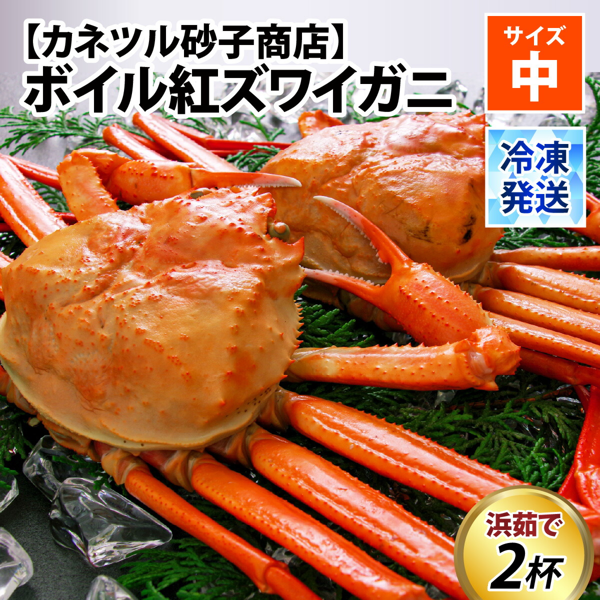 【ふるさと納税】発送時期が選べる【冷凍】ボイル紅ズワイガニ  / 訳あり ずわいがに 紅ずわいがに ズワイガニ カニ 冷凍配送 チルド ブランド蟹 高志の紅ガニ 北陸 カネツル砂子商店【能登半島地震復興支援】 ゆで蟹 焼きがに ギフト 送料無料  富山県 滑川市 国産  茹で蟹