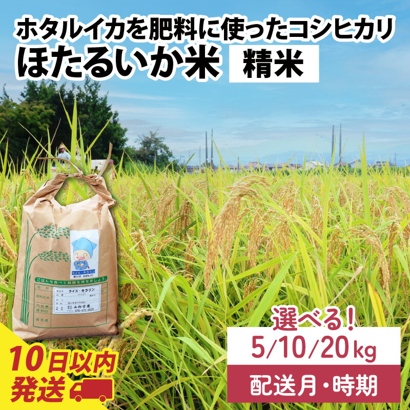 【ふるさと納税】ほたるいか米（精米）選べる容量（5kg／10kg／20kg）選べる配送時期（1月～12月※各月上旬／中旬／下旬）【通年発送】令和7年産 / 農家直送 訳あり お米 おこめ こしひかり コシヒカリ ホタルイカ 富山県 滑川市 オリジナル米 国産 送料無料｜富山県滑川市