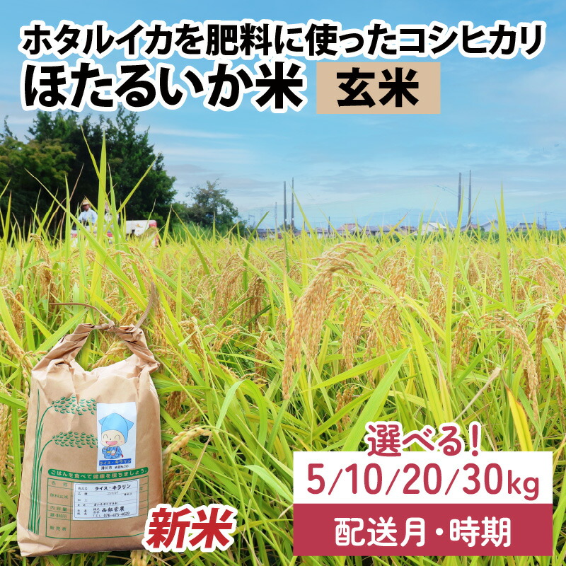 【ふるさと納税】【先行予約 新米】ほたるいか米（玄米）選べる容量（5kg／10kg／20kg／30kg）25年10月以降順次配送予定 選べる配送時期（上旬／中旬／下旬） / 農家直送 訳あり お米 おこめ こしひかり コシヒカリ ホタルイカ 富山県 滑川市 コメ