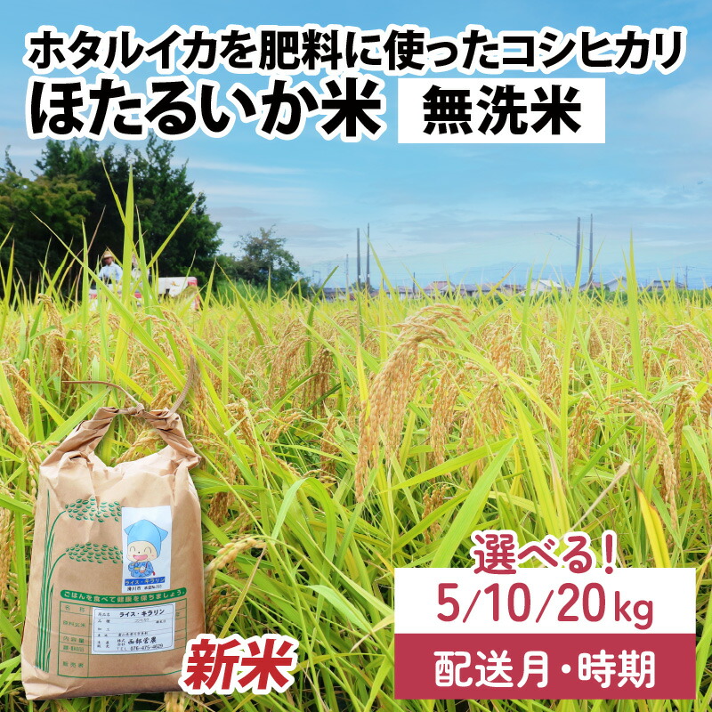 【ふるさと納税】【先行予約】【新米】ほたるいか米（無洗米）選べる容量（5kg／10kg／20kg）25年10月以降順次配送予定　選べる配送時期（※各月上旬／中旬／下旬） / 農家直送 訳あり お米 おこめ こしひかり コシヒカリ ホタルイカ 富山県 滑川市 コメ  国産