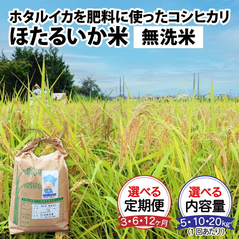 【ふるさと納税】【先行予約 新米 25年10月開始】 米 定期便 コシヒカリ ほたるいか米（無洗米）選べる定期便（3ヶ月／6ヶ月／12ヶ月）選べる1回あたりの内容量（5kg／10kg／20kg）  農家直送 お米 おこめ こしひかり ホタルイカ 蛍烏賊 富山県 滑川市 コンシェルジュ 訳あり