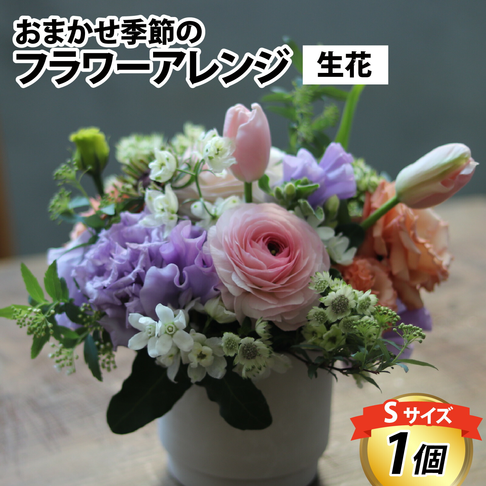 ホタルイカ特集