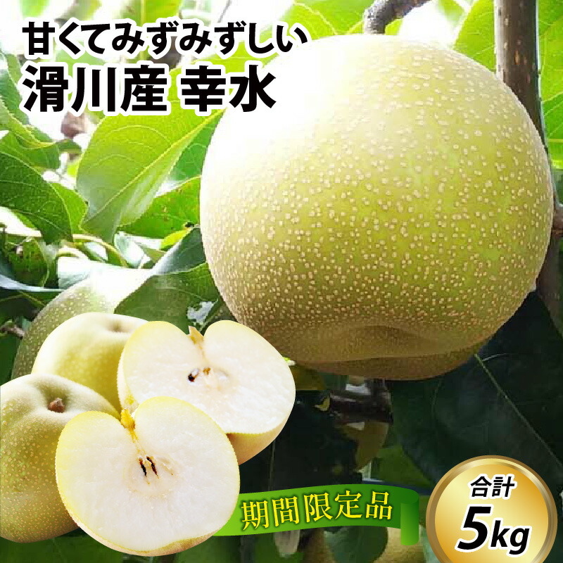 【ふるさと納税】【先行予約】梨（幸水）5kg 11～14玉　※2025年8月下旬以降順次発送予定 / なし フルーツ 果物 新鮮 スイーツ 予約梨 旬の梨 くだもの 富山 富山県 滑川市 送料無料  新山果樹園