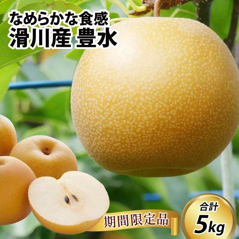 【ふるさと納税】【先行予約】梨（豊水）5kg 11～14玉 ※2025年9月上旬以降順次発送予定/ なし  フルーツ 期間限定 送料無料　滑川市 富山県