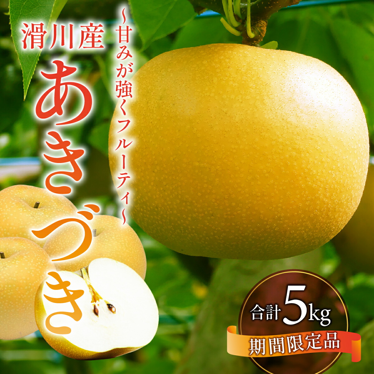 【ふるさと納税】【先行予約】梨（あきづき）5kg　8玉～12玉 ※2025年9月中旬以降順次発送予定/ なし  フルーツ 期間限定 送料無料　滑川市 富山県