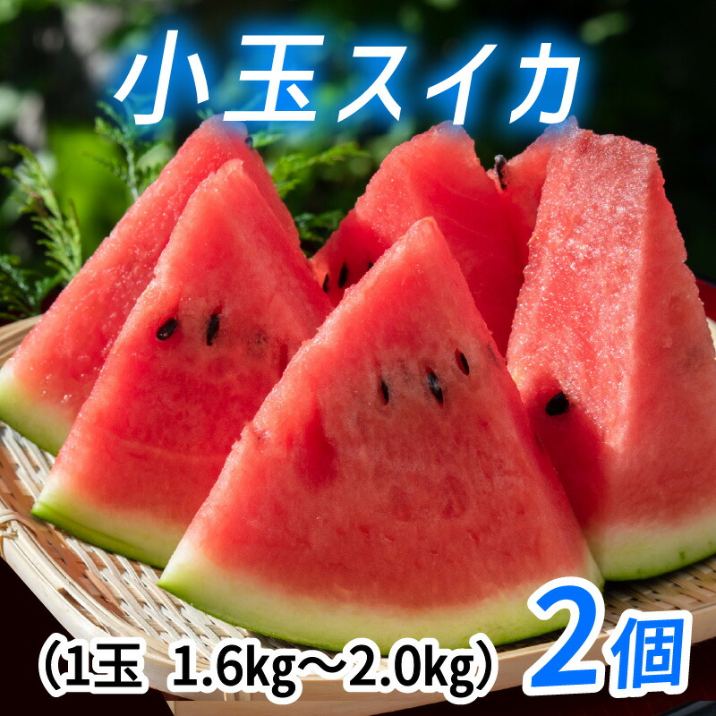 【ふるさと納税】【先行予約】種まで食べられるスイカ　小玉スイカ（ピノガール）＊25年7月上旬以降順次発送 / 数量限定 Lサイズ ２玉入り 夏ギフト お中元 すいか 西瓜 フルーツ 果物 くだもの スイーツ 新鮮 旬 夏 富山 富山県 滑川市