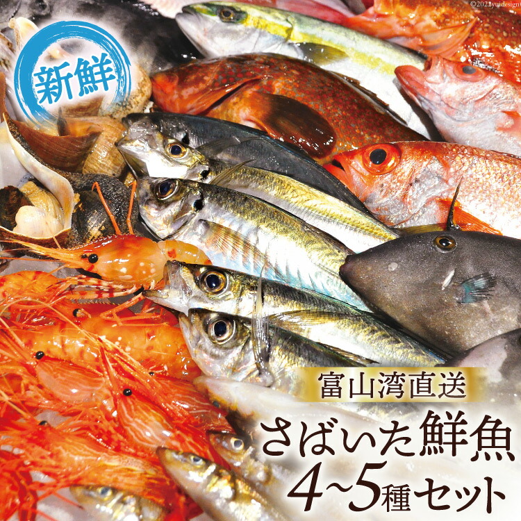 96％以上節約 魚 富山湾直送 さばいた鮮魚セット 4〜5種 旬 新鮮 鮮魚 刺身 詰め合わせ 産地直送 冷蔵 くろべ漁業協同組合 魚の駅 生地  富山県 黒部市 fucoa.cl