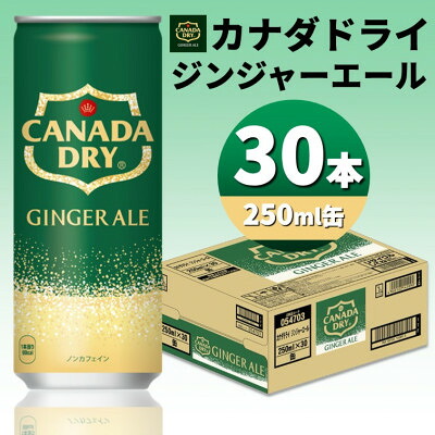 【ふるさと納税】カナダドライジンジャーエール250ml缶×30本 _ ジンジャーエール カナダドライ 炭酸飲料 炭酸 250ml 缶 30本 人気 美味しい 飲料 まとめ買い 備蓄 【1551264】