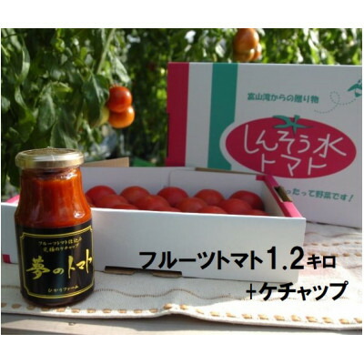 【ふるさと納税】フルーツトマト(深層水トマト)1.2キロとトマトケチャップセット(300ml×1本)【配送不可地域：離島】【1287336】