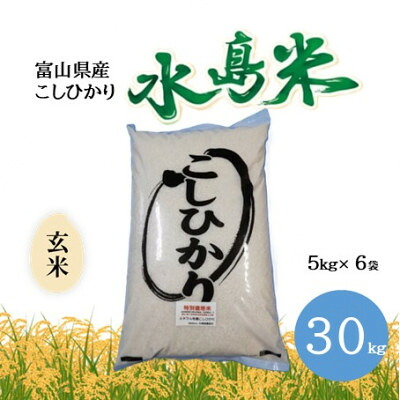 【ふるさと納税】栽培期間中農薬・化学肥料不使用 こしひかり 玄米 5kg×6袋(30kg)【1735092】|富山県小矢部市