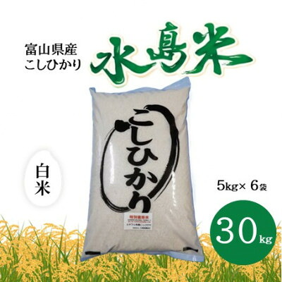 【ふるさと納税】栽培期間中農薬・化学肥料不使用 こしひかり　白米 5kg&times;6袋(30kg)【1735148】｜富山県小矢部市