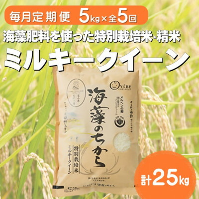 【ふるさと納税】【毎月定期便】ミルキークイーン(海藻のちから)(精米)5kg全5回_ お米 米 ミルキークイーン 国産 美味しい 定期便 【4075146】|富山県小矢部市