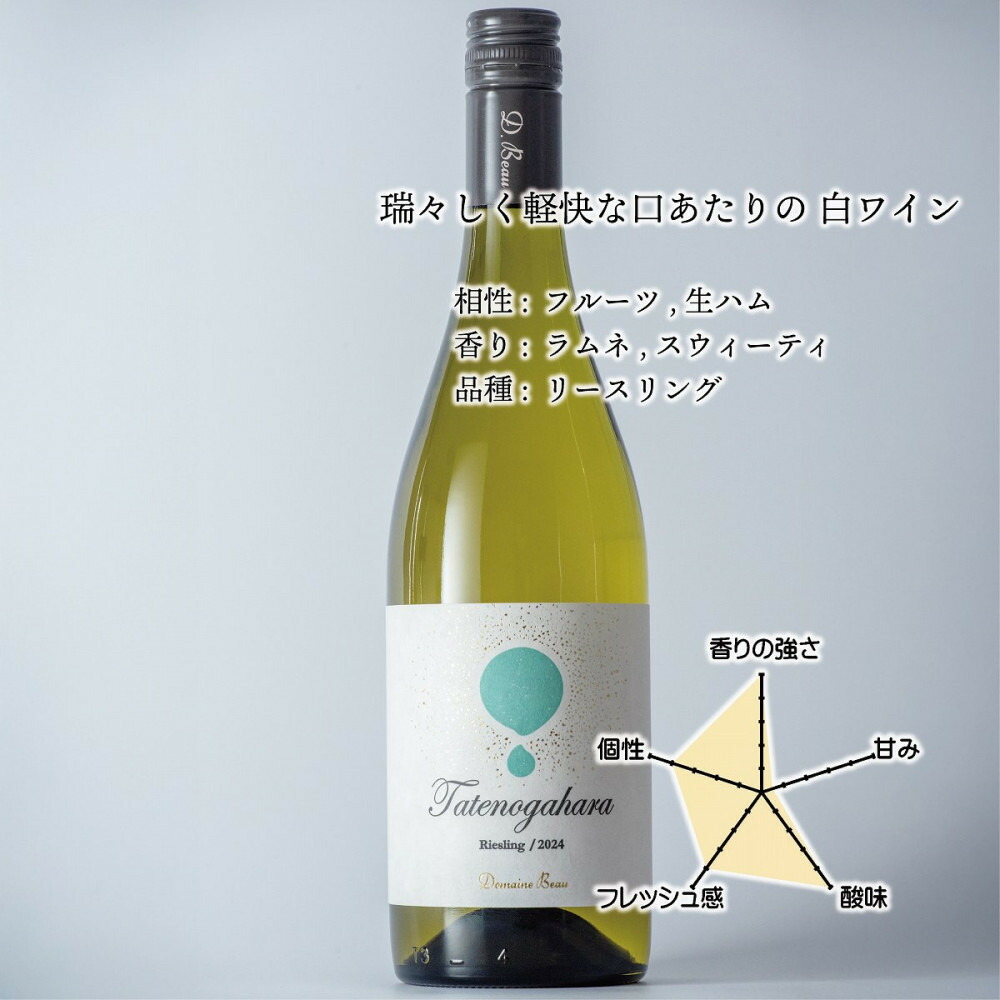 【ふるさと納税】立野原 リースリング 2024 ワイナリー風景ポチ袋5枚セット付き | お酒 ワイン 白ワイン リースリング さわやか 南砺市 トレボー株式会社 ドメーヌ・ボー ふるさと納税 返礼品 人気 おすすめ 送料無料 14,440円