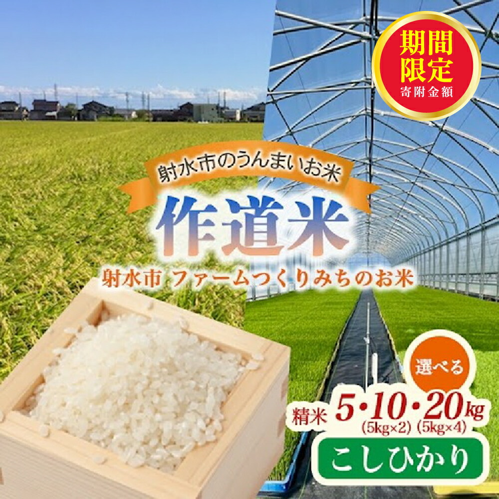 楽天市場】【ふるさと納税】【R6年度産米】一等米 富山県産