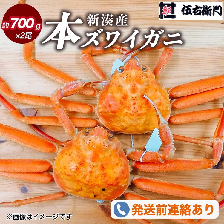 【ふるさと納税】【伍右衛門】新湊産本ズワイガニ約700g×2尾 ※2026年11月~発送 ※発送まで1か月以上かかる場合があります。|富山県射水市