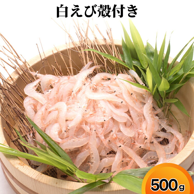 【ふるさと納税】白えび殻付き500g　海老 エビ 白えび殻付き