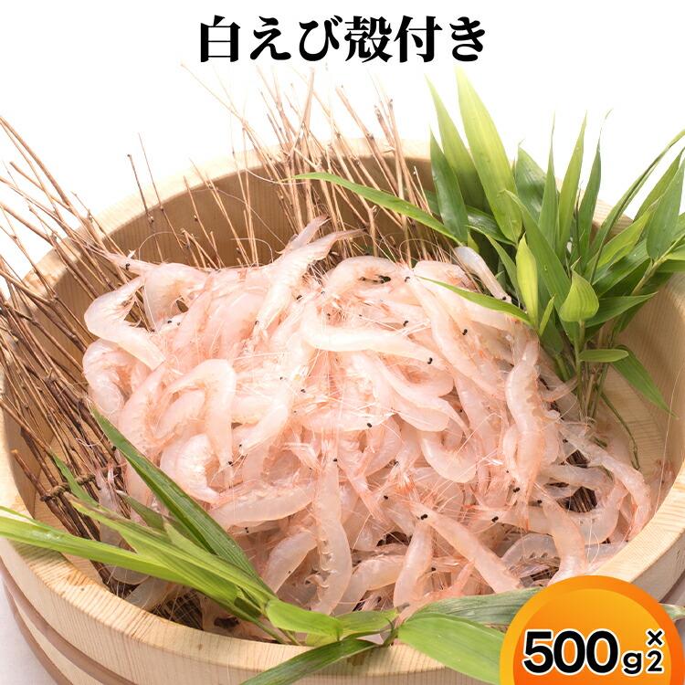 【ふるさと納税】白えび殻付き500g×2　海老 エビ 白えび殻付き