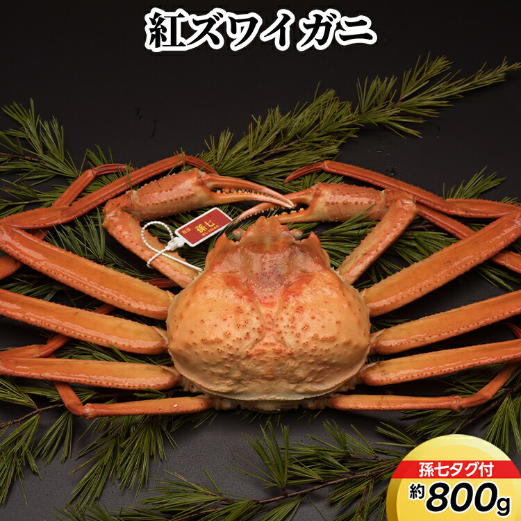 洋楽 ISIS - The Mosquito Control '12EP 洋楽 ISIS - The Mosquito Control '12EP Isis – The Mosquito Control